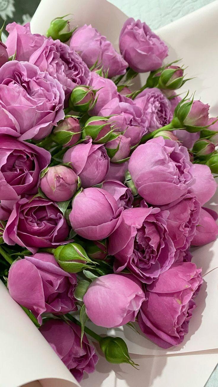 Harmony of Nature Artisan Blooms